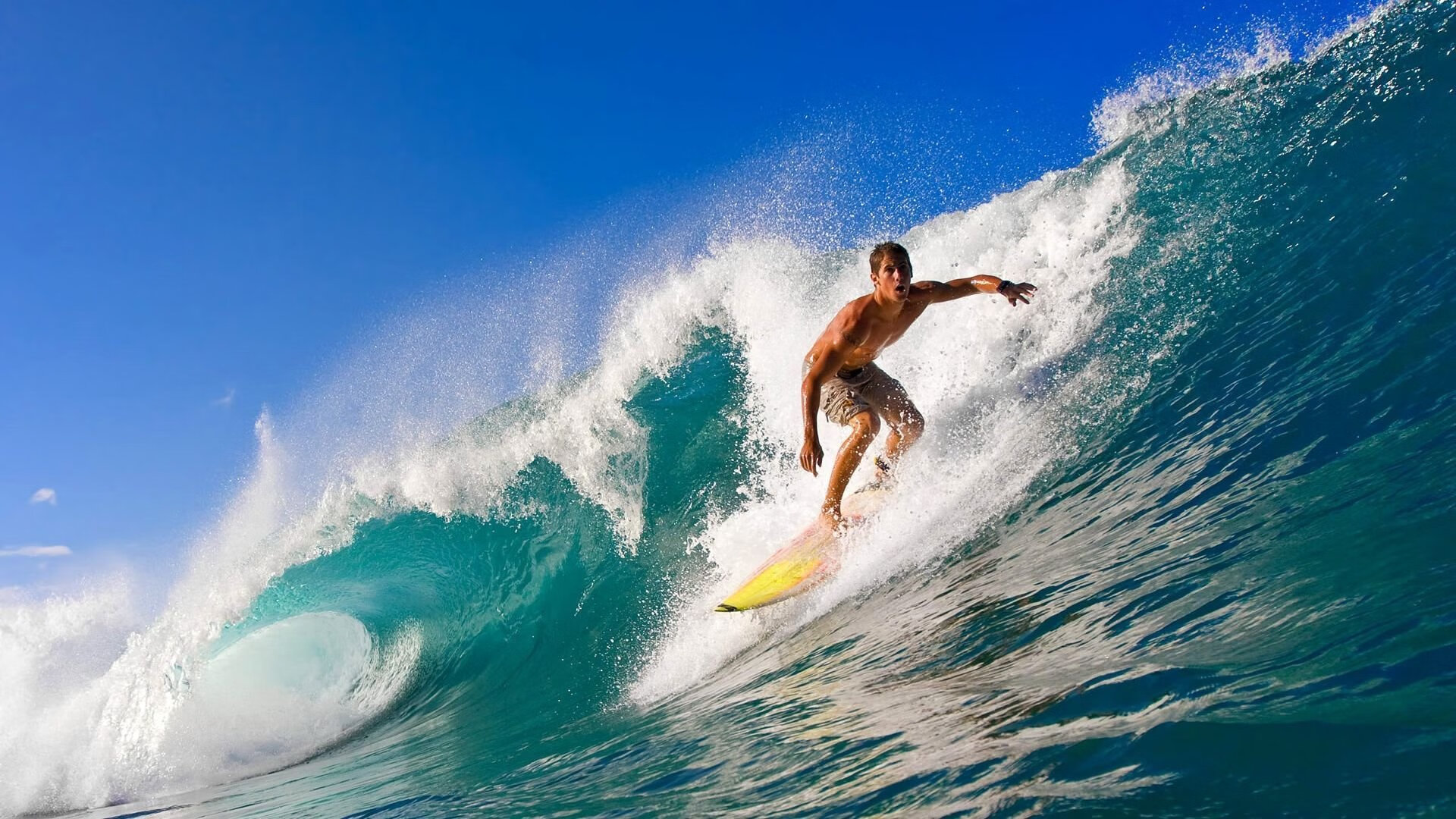 mk sport-包装工主场获胜,四分卫状态神勇,包装工的主场